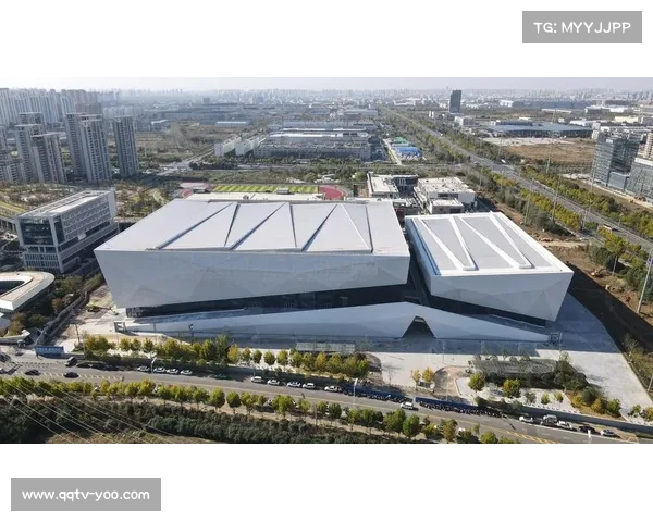 宁波体艺中心力争永久保留青少年垒球地标推动体育文化发展新篇章